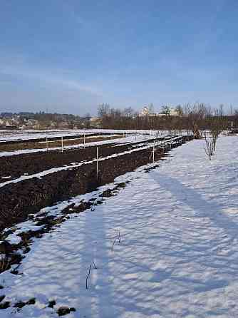 Продаж земельної ділянки 8 соток на вул. Радивилівська Почаїв