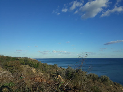 Продаж земельної ділянки 0.1 соток на ул. Приморская, 29 Chornomors'ke - photo 3