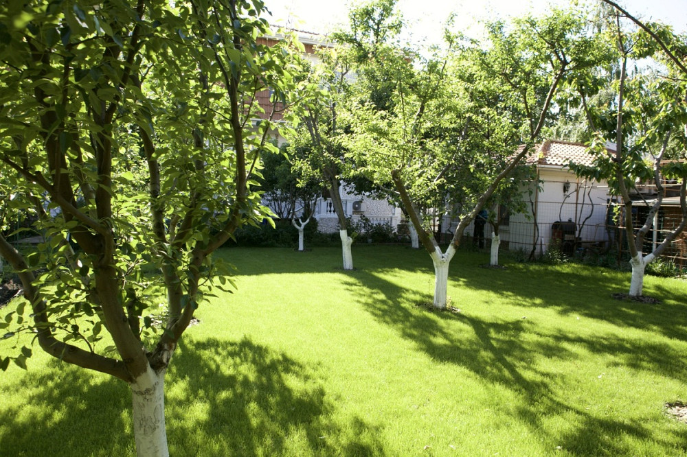 Оренда Будинок Одеса - фото 15