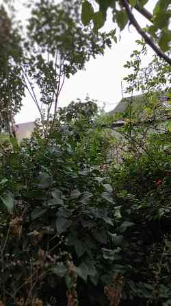 родам БОЛЬШУЮ  КВАРТИРУ на Новосельского/Л.Толстого Одеса