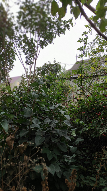 родам БОЛЬШУЮ  КВАРТИРУ на Новосельского/Л.Толстого Одеса - фото 5