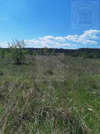 Продаж земельної ділянки 25 соток на Космічна вул., 2 Blystavytsia