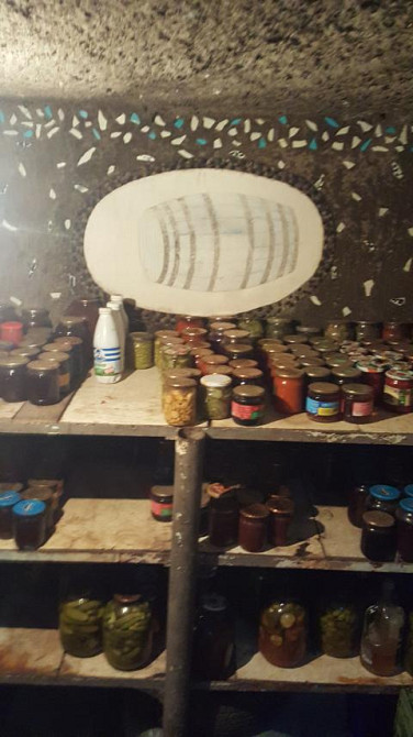 Капитальный дом  в с. Петровка Мала Петрівка - фото 8