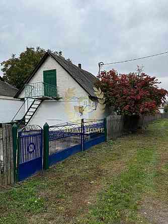 Продам просторий будинок у центрі с. Дрозди, 