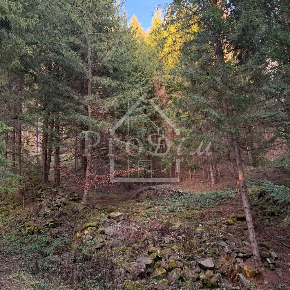 Продаж земельної ділянки 80 соток на Довга Верхній Ясенів - фото 19