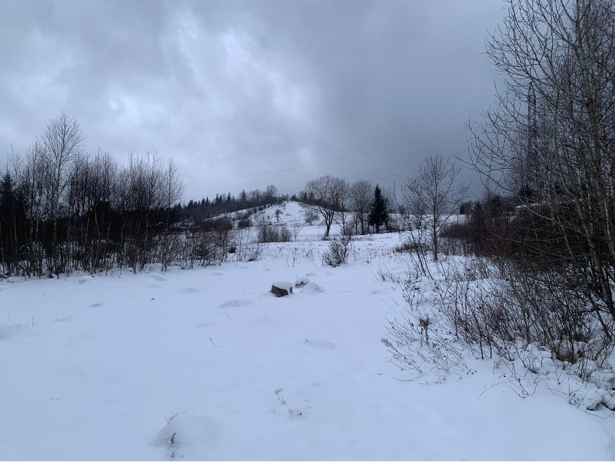 Продажа земельного участка Для строительства частного жилого дома площадь 0.49 сот Вул Зелена Тухля - изображение 4