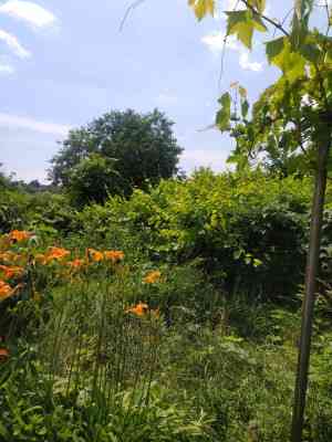 Продаж земельної ділянки 0.1 соток на КООП Энергетик (КООП 3-я линия), 7 Нерубайское