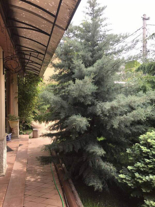 Оренда Будинок на Большой Фонтан / Фонтанская Дорога Одесса - изображение 12