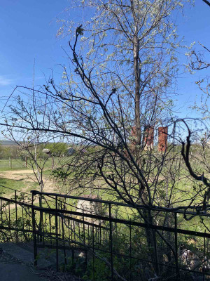 Продаж земельної ділянки 0.1 соток на Христиновский ОСМ, 1292 Yehorivka - photo 10