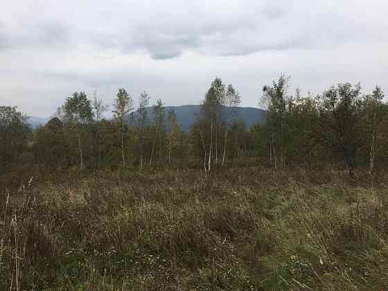 Продаж земельної ділянки 75 соток на вул. Шевченка Верхнє Синьовидне