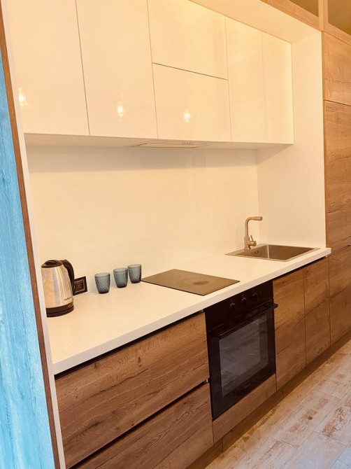 Оренда Квартира 1-кімнатна, 1/6 поверх на Фонтанская Дорога, 153 Одесса - изображение 10