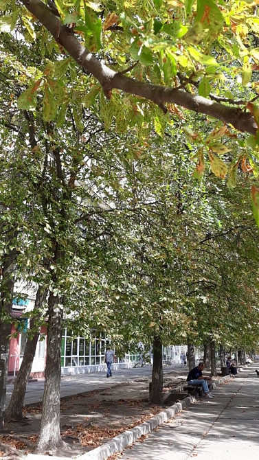 Оренда Квартира 1-кімнатна, 3/9 поверх на проспект Правди, 92 Київ - фото 9