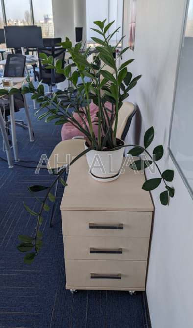 Оренда Будинок 4-кімнатний на Польова вул., 24Д Київ - фото 9