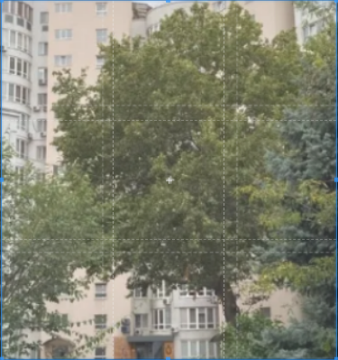 Двух комнатная квартира на Пишоновской Одесса