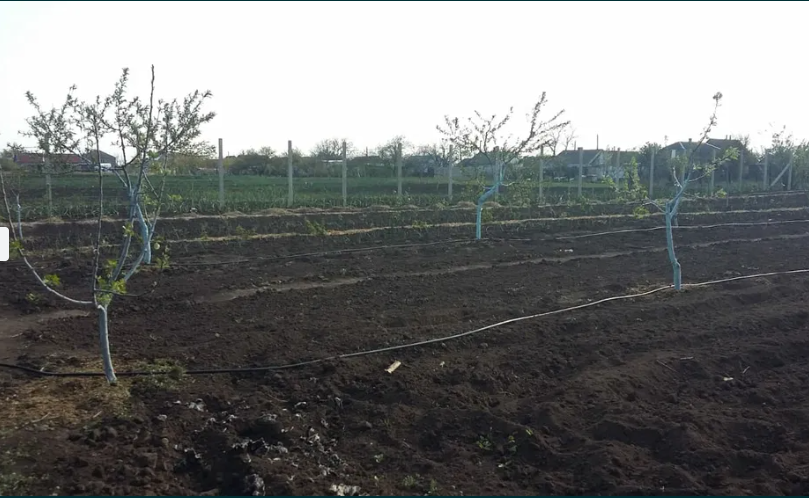 Продам дом в с.Переможне (15 км от Одессы) Переможне - фото 19