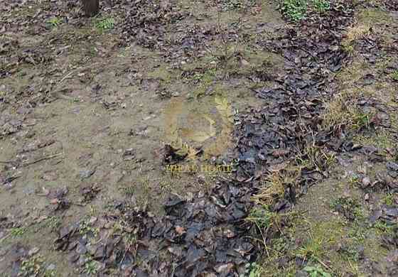 Продаж земельної ділянки 12 соток на Майская ул., 27 Кулібаба