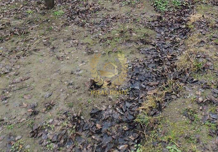 Продаж земельної ділянки 12 соток на Майская ул., 27 Kulibaba - photo 4