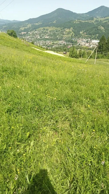 Продаж земельної ділянки 43 соток Верховина - фото 8