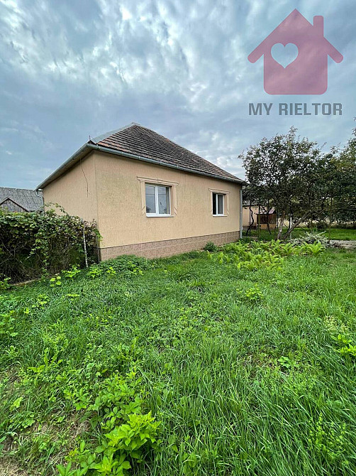 Продаж будинку в с. Дубрівка. Dubrivka (Irshavskyi raion) - photo 1