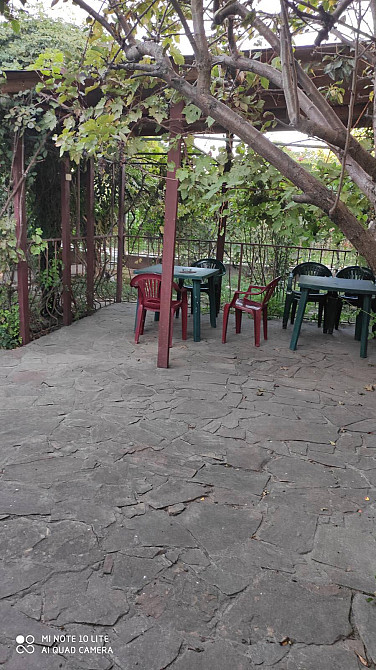 Дача в Затоке. Затока - изображение 14