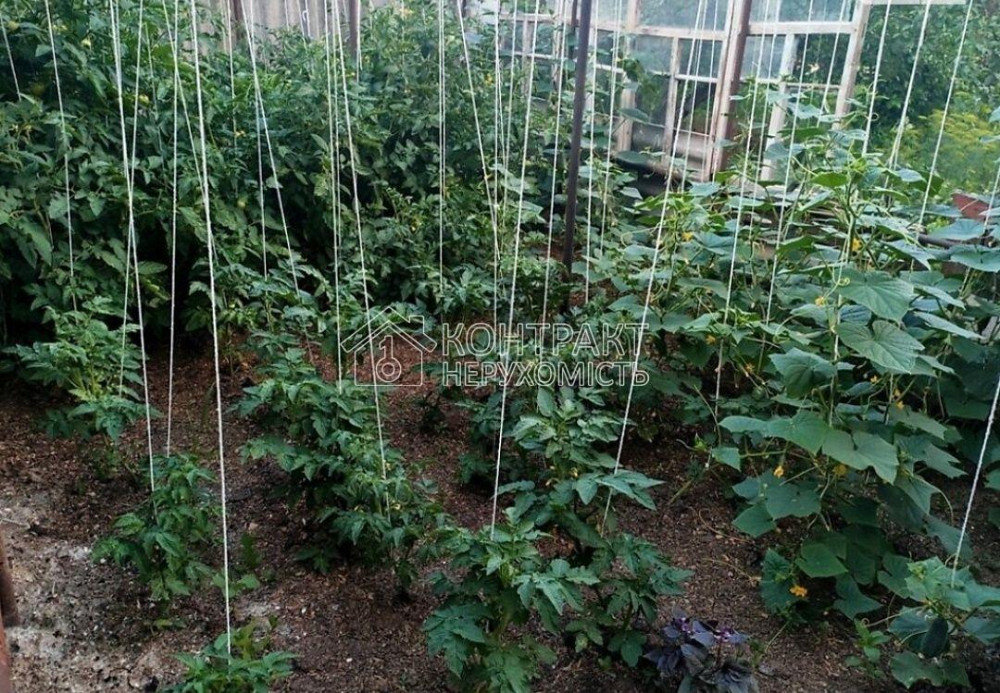 Продаж Будинок 4-кімнатний на вул. Західна  - фото 15