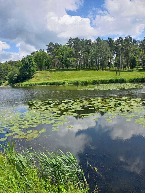 Продаж Будинок Сосонка - фото 8