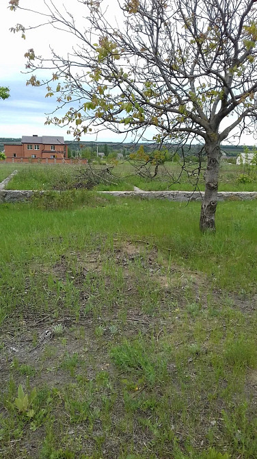 Продаж земельної ділянки 14 соток Кропивницький - фото 3