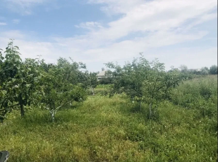 Продаж 1-поверховий Будинок з ділянкою 8 сот 200 кв.м 4 кімн. на Дмитренка Дніпро - фото 4