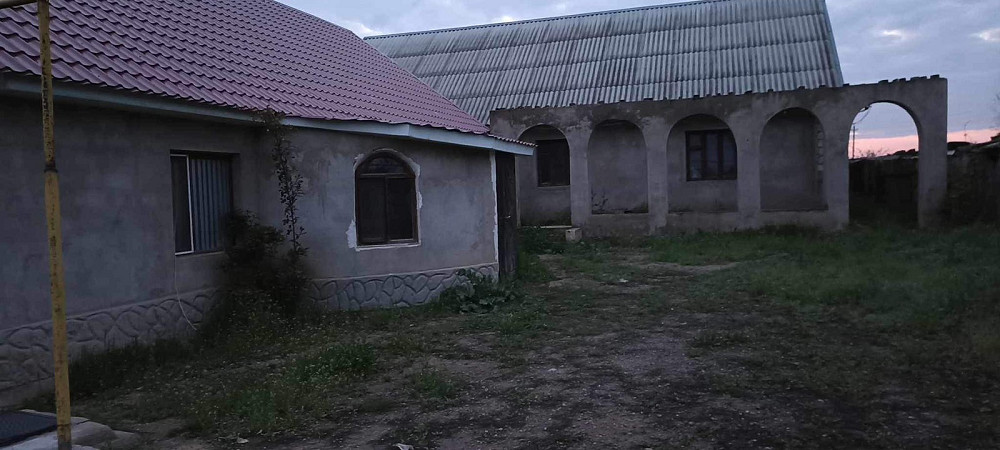 ЧАСТНЫЙ ДОМ рядом с границей Кучурган (Великомихайливський район) - изображение 1