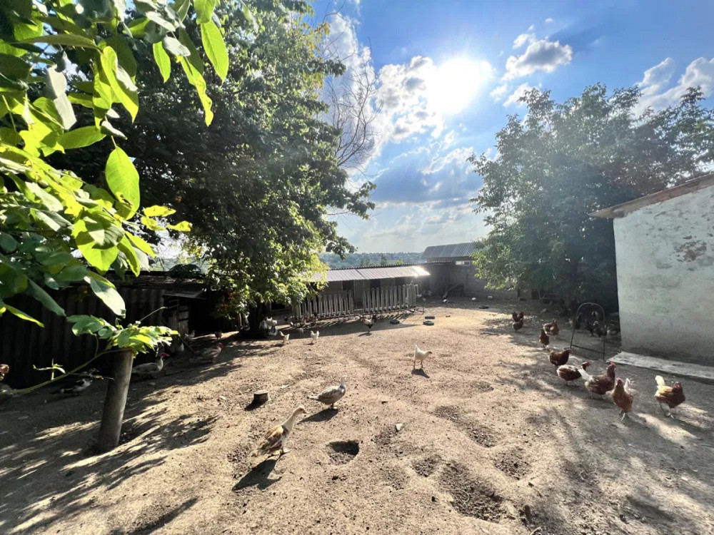 Продам будинок + готовий бізнес. Новоукраїнка Новоукраїнка - фото 13