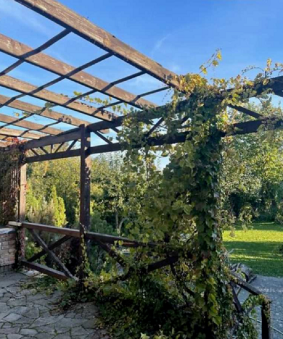 Продаж 2 поверхового будинку з каміном і ділянкою на 15 соток, 360 кв. м Тернопіль - фото 19