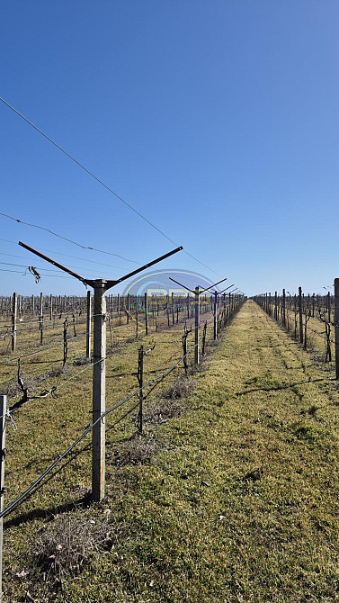 Продаж земельної ділянки 7.72 га на вул. 1 Овідіополь - фото 13