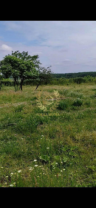 Продаж земельної ділянки 45 соток на Леси Украинки ул., 24  - фото 3