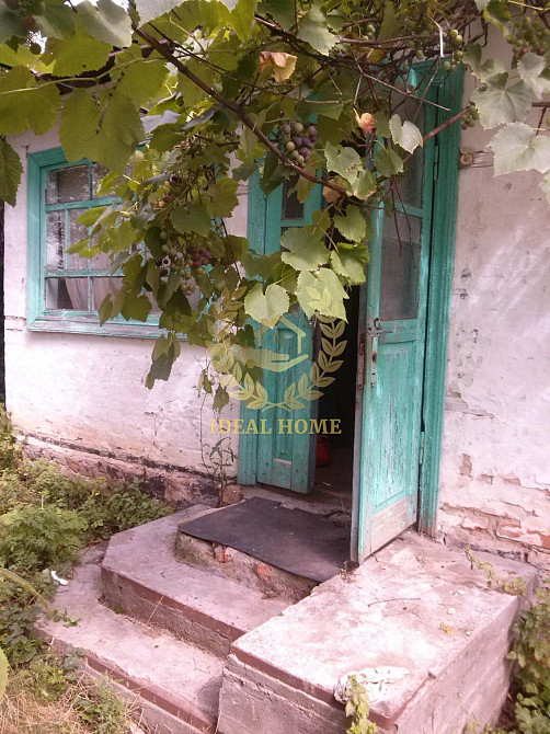 Продаю будинок в селі Юрківка, Ставищенський район Юрківка - фото 13