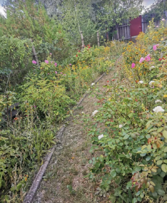 Продаж земельної ділянки 0.1 соток на ул. Виноградная, 15 Limanka