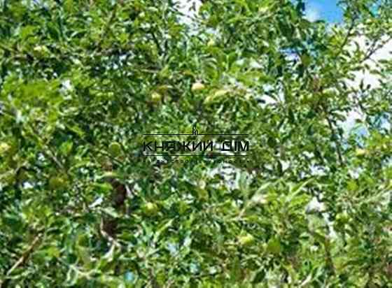 Продаж земельної ділянки 33 соток Kiev