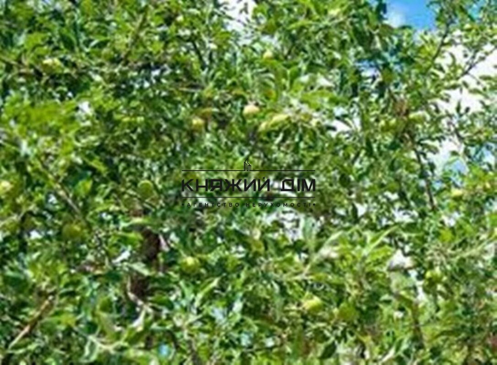 Продаж земельної ділянки 33 соток Kiev - photo 2