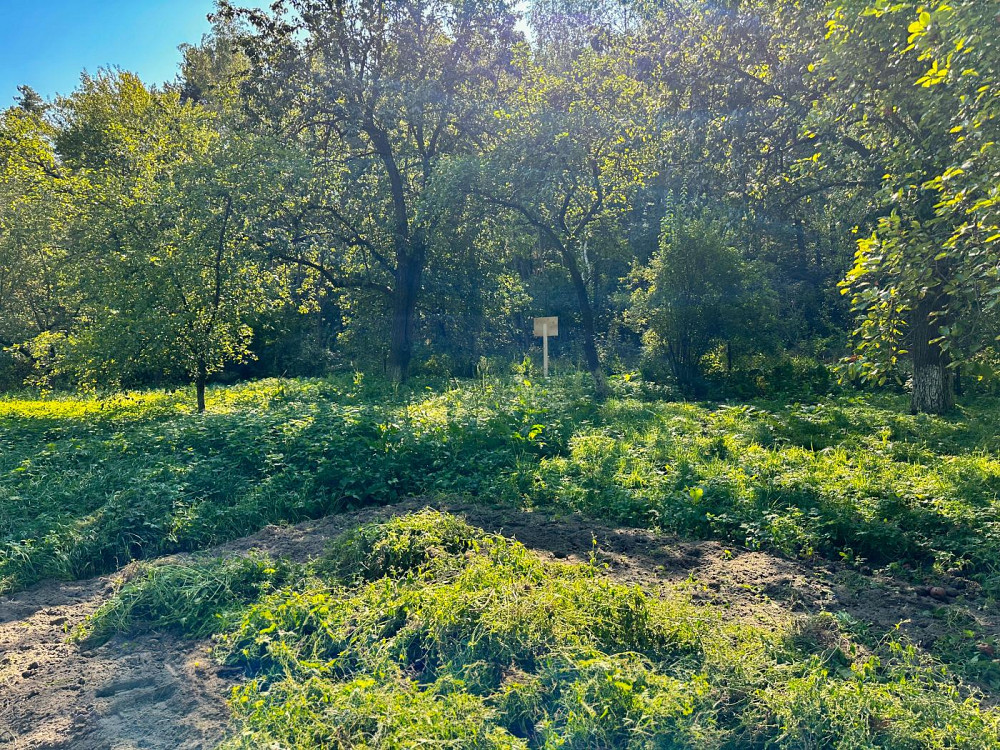 Продаж Квартира на улица Лісова 3  - изображение 10