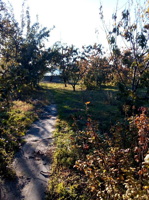 Продам дом в с.Граденицы с выходом на Кучурганский лиман Градениці - фото 16