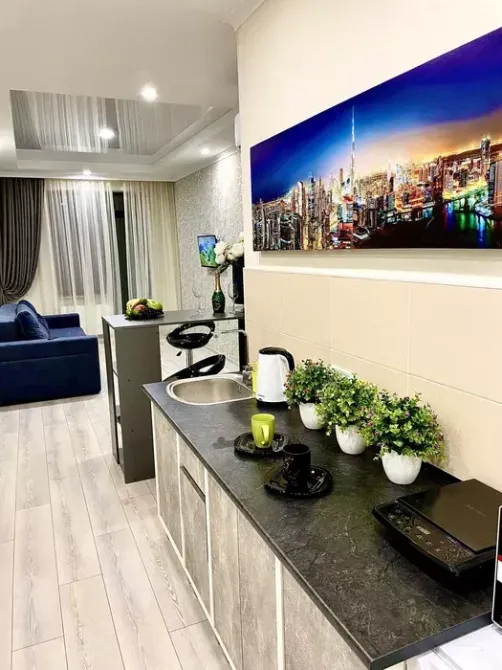 Оренда Квартира 1-кімнатна, 23/25 поверх на Педагогическая ул., 23 Одесса - изображение 9