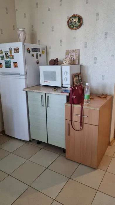 Оренда Квартира 1-кімнатна, 13/22 поверх на ул. Елены Пчилки Київ - фото 4