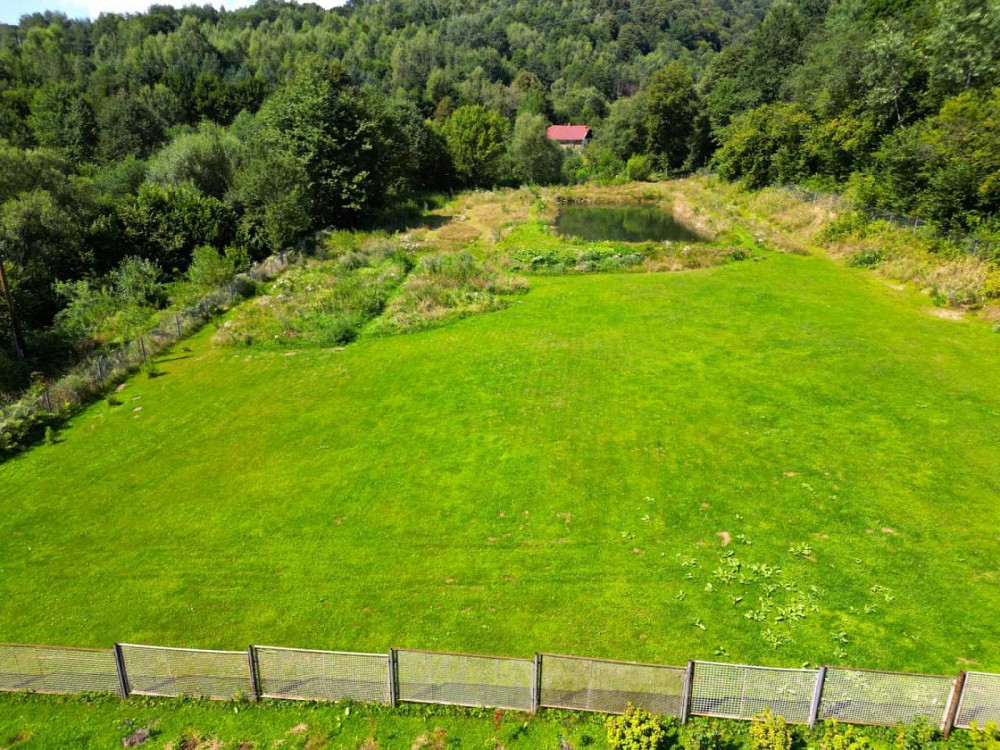 Продаж земельної ділянки 44 соток Верхне Синьовидне - изображение 10