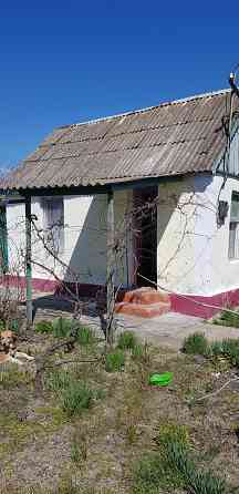 Дача  на морском побережье. Затока