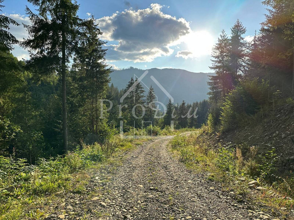 Продаж земельної ділянки 80 соток на Довга Верхній Ясенів - фото 16