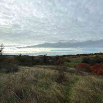 Продаж земельної ділянки 0 соток на ул. Центральная, 2/2 Усатове