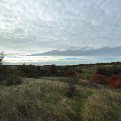 Продаж земельної ділянки 2 соток на ул. Центральная, 2/2 Усатове - фото 2