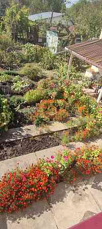 Продам будинок дачу в глевасі 3 Глеваха