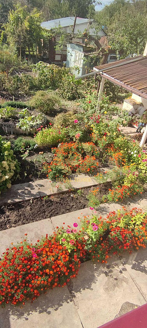 Продам будинок дачу в глевасі 3 Hlevakha - photo 5