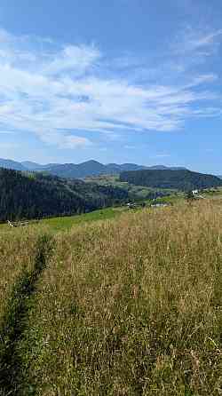 Продаж земельної ділянки 60 соток на Рикалівка Zamahora