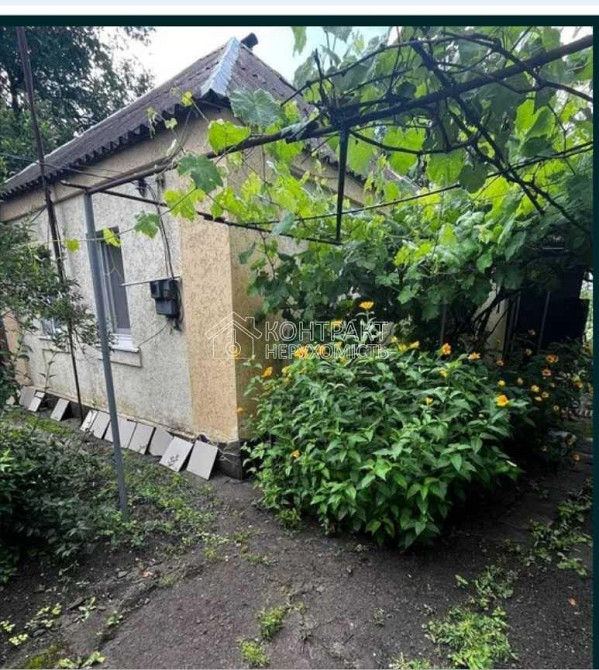 Продаж Будинок 1-кімнатний Manchenky - photo 5